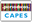 Periodicos Capes.png
